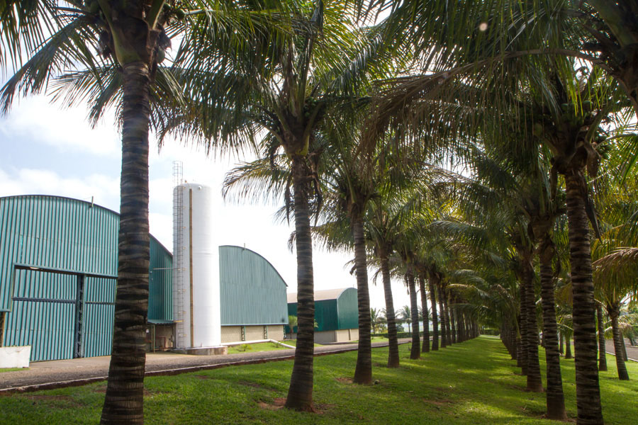 Foto Fênix Agro - galpão de armazenagem